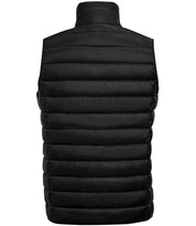01436 Black Back