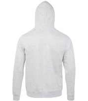 02991 Ash Back