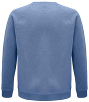 03567 Blue Back
