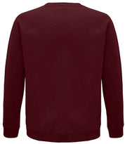 03567 Burgundy Back