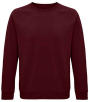 03567 Burgundy Front