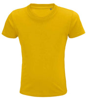 03578 Gold Front