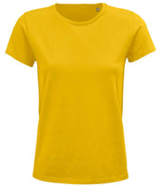 03581 Gold Front