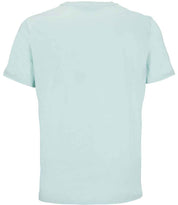 03981 Arctic Blue Back