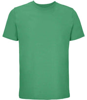 03981 Spring Green Front