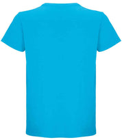 04233 Aqua Back