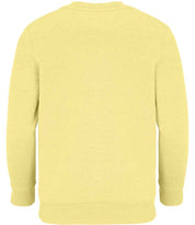 04239 Light Yellow Back
