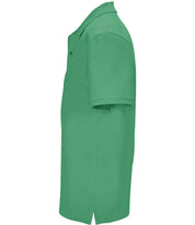 04242 Spring Green Left