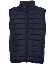 04446 French Navy Front