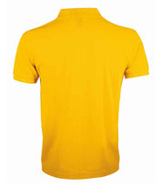 10571 Gold Back