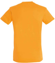 11380 Apricot Back