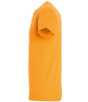 11380 Apricot Left