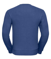 262M Bright Royal Back