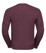 262M Burgundy Back