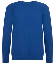 AC001B Deep Royal Back