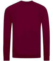 AC001 Burgundy Back