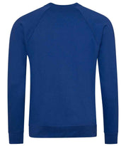 AC001 Deep Royal Back