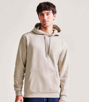 AM101 Stone Model