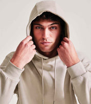 AM101 Stone Model