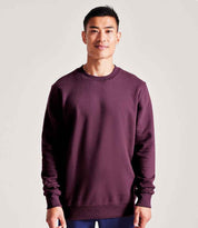 AM20 Burgundy Model