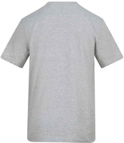 AT002 Heather grey Back