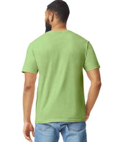 GD01 Kiwi Model