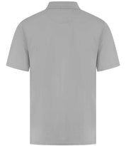 H475 Silver Back