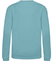 JH030B Seafoam Back