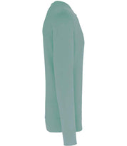KB4026 Sage Left