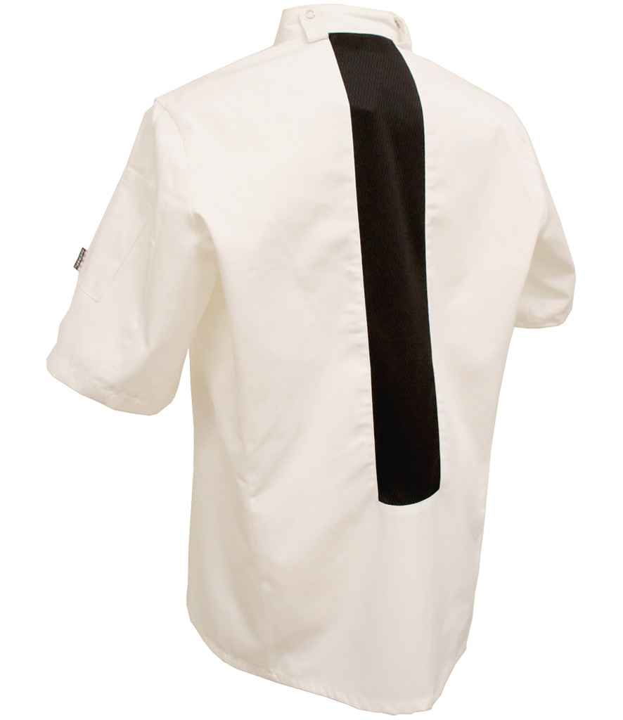 Black Back