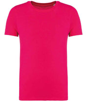 NS307 Raspberry Sorbet Front