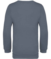 NS403 Mineral Grey Back