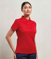 PR616 Red Model