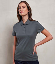 PR633 Dark Grey Model