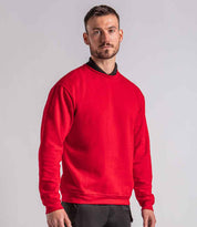 RX301 Red Model