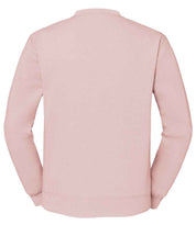 SS9 Powder Rose Back