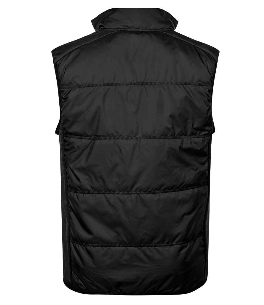 Black Back