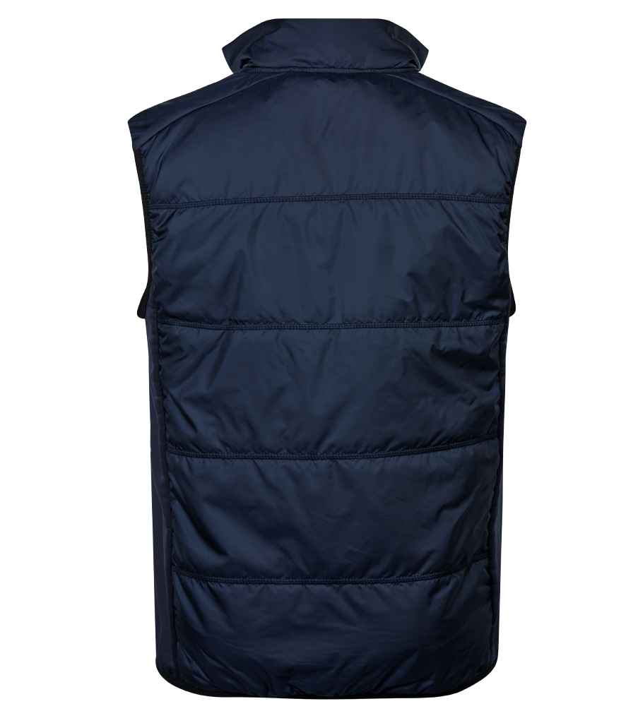 Navy Back