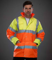 YK205 Yellow/Orange Model